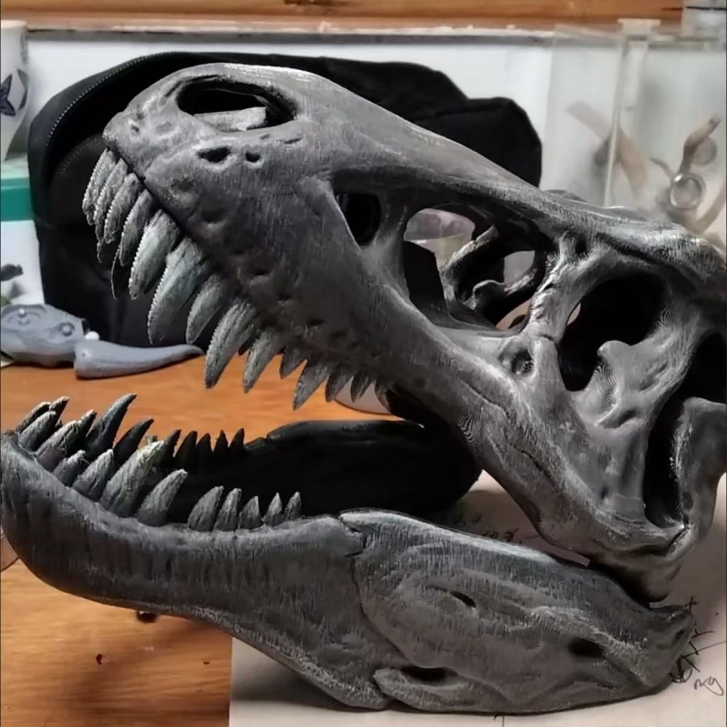 3D Printed Tyrannosaurus Rex S - 3D Printing Enthusiast 评论和价格