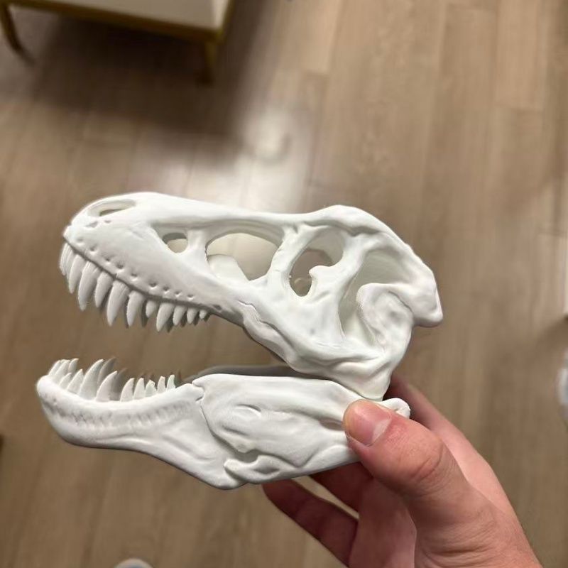 3D Printed Tyrannosaurus Rex S - 3D Printing Enthusiast 评论和价格