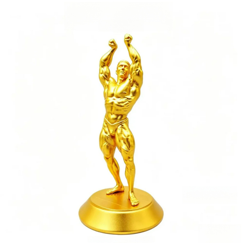 Hardcore Muscular Male Competi - 3D Printing Gold 评论和价格