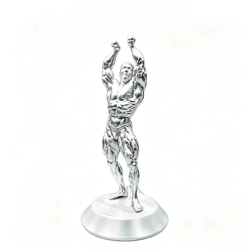Hardcore Muscular Male Competi - 3D Printing Gold 评论和价格