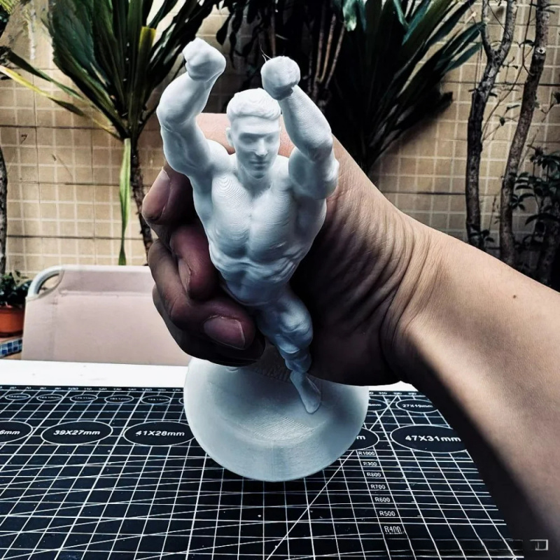 Hardcore Muscular Male Competi - 3D Printing Gold 评论和价格