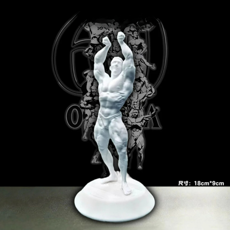 Hardcore Muscular Male Competi - 3D Printing Gold 评论和价格